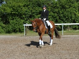 IMG_5095_web